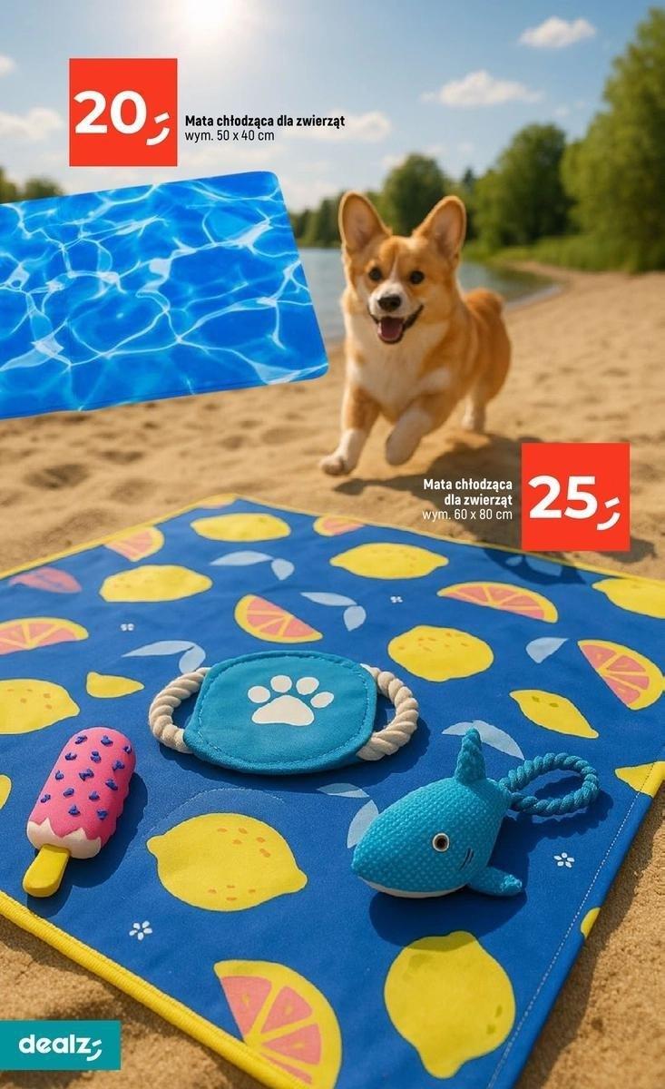 Gazetka promocyjna Dealz str. 34