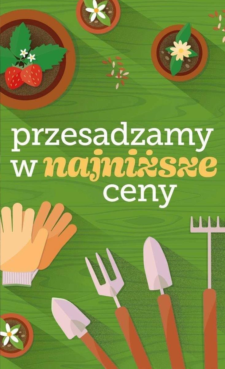 Gazetka promocyjna Dealz str. 27