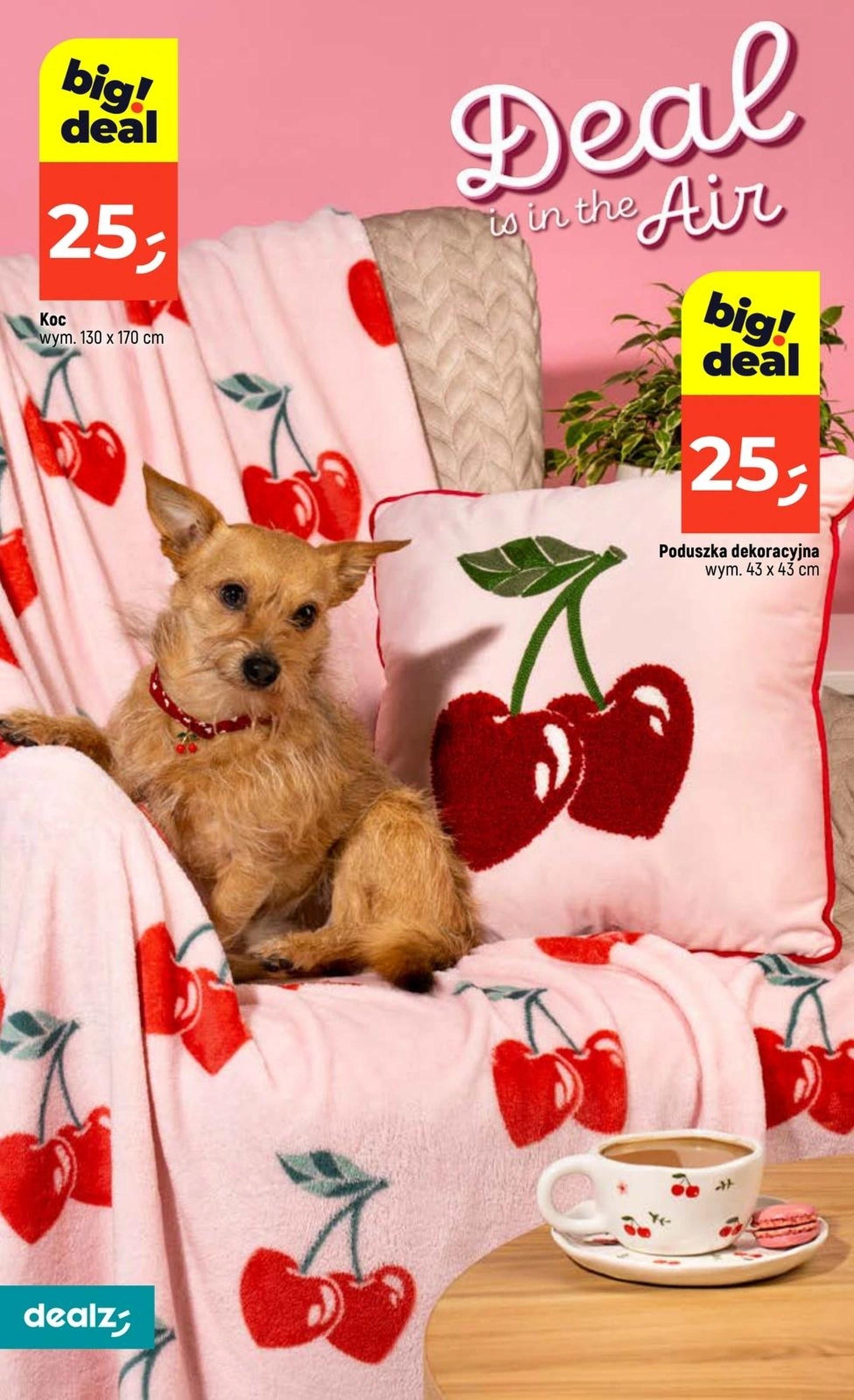 Gazetka promocyjna Dealz str. 20