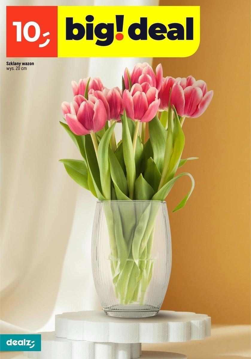 Gazetka promocyjna Dealz str. 12