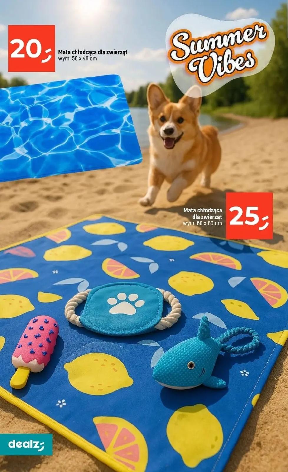 Gazetka promocyjna Dealz str. 30