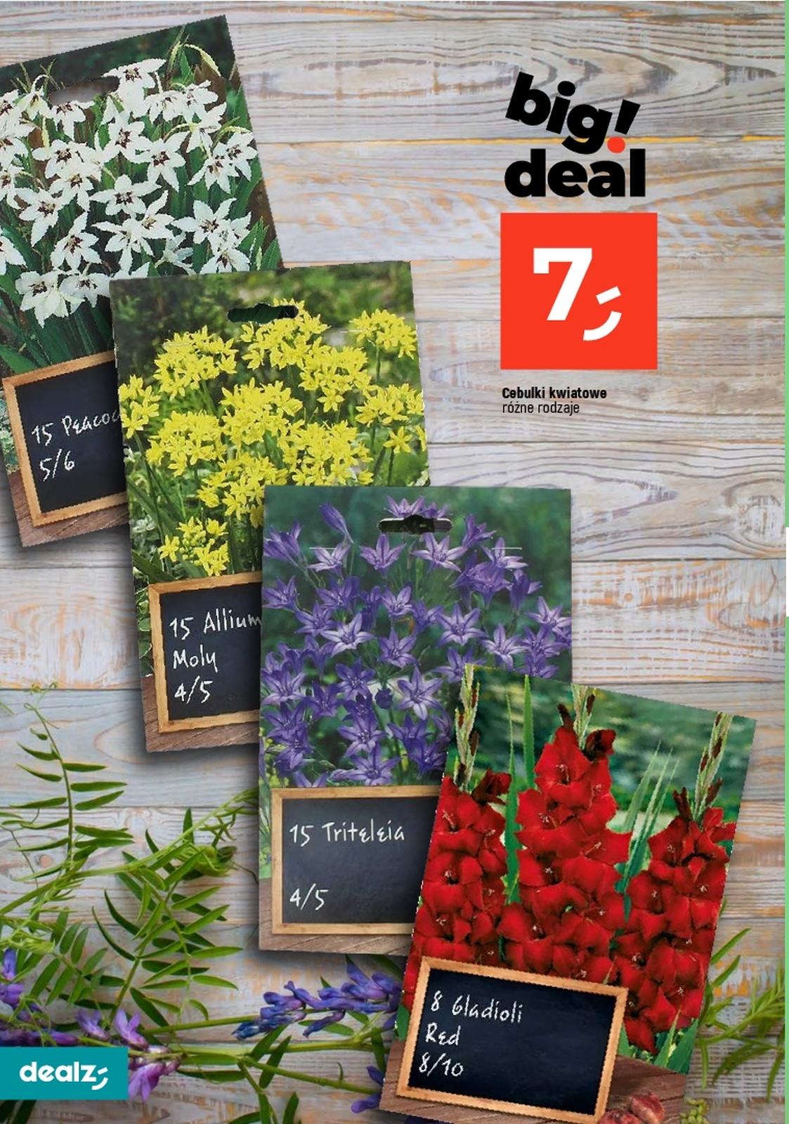 Gazetka promocyjna Dealz str. 24